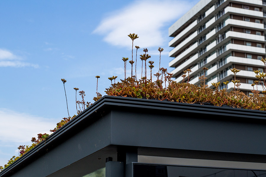 flat roofs
